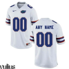 Custom Florida Gators Jersey, White Men's, Custom Jersey - Replica